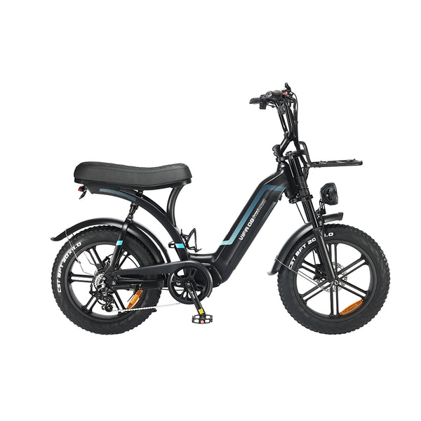 LUIMP Adult Electric Bike, 750W Electric Bike, 20 Inch Adult Fat Tire Electric Bike, 48V 20Ah Battery, 31 MPH Mountain Bike, Hydraulic Brake 7 Speed Electric Bike, Adult Electric Bike UL2849
