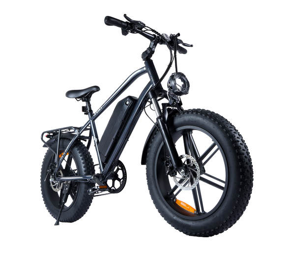 LUIMP Peak 1000W Electric Bike for Adults, 20X4.0" Fat Tire E bike, 48V/13Ah Battery 25MPH Mountain Bike, 38 Miles Range Electric Bicycle for Cycling, 7-Speed E-bike, Ebike for Adults UL2849