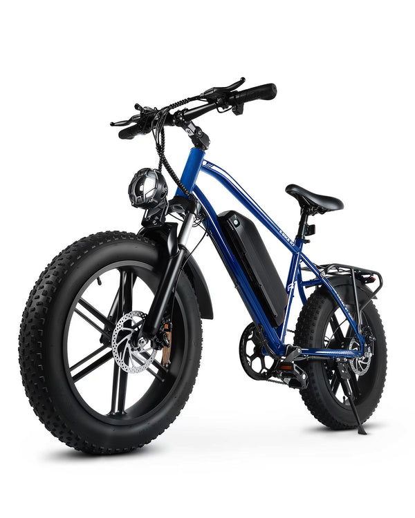 Hipatoo R7 Peak 1000W Electric Bike for Adults, 20X4.0" Fat Tire E bike, 48V/13Ah Battery 25MPH Mountain Bike, 38 Miles Range Electric Bicycle for Cycling, 7-Speed E-bike, Ebike for Adults UL2849